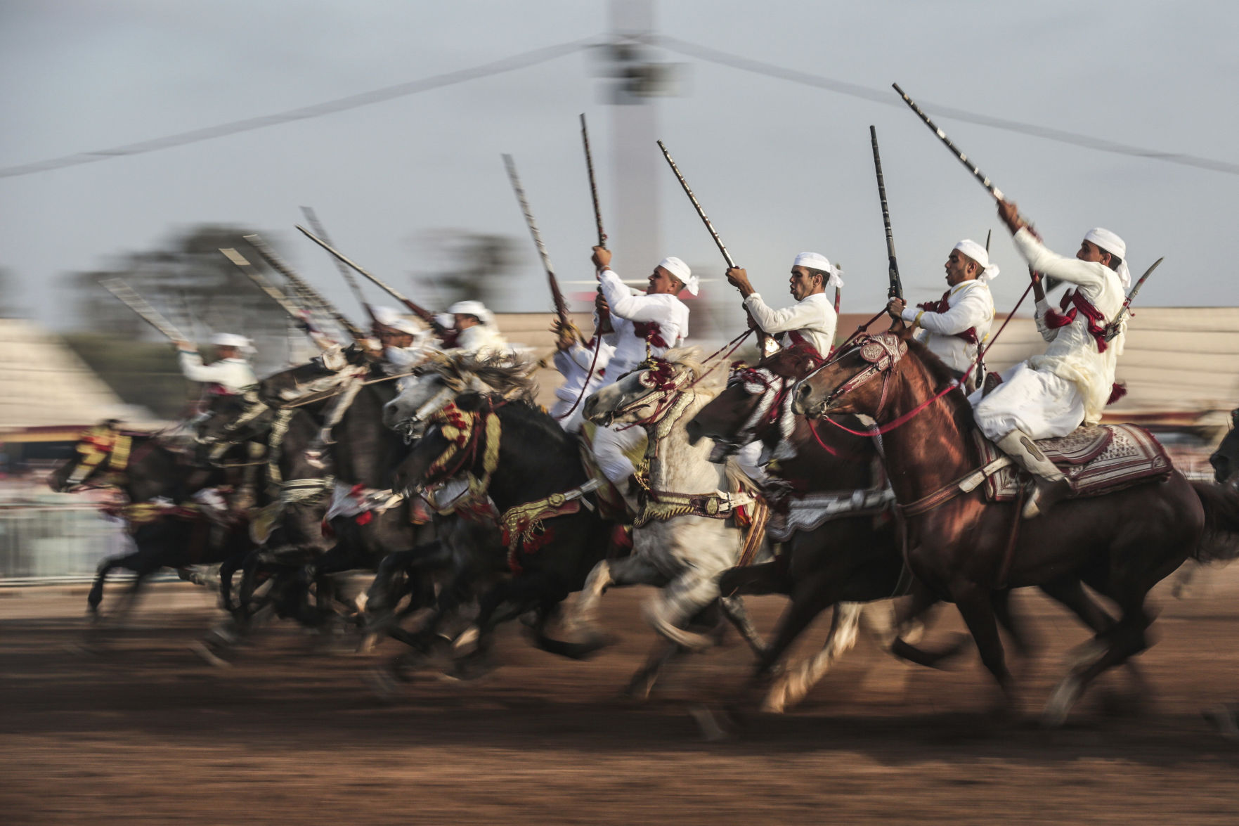 Morocco equine tradition